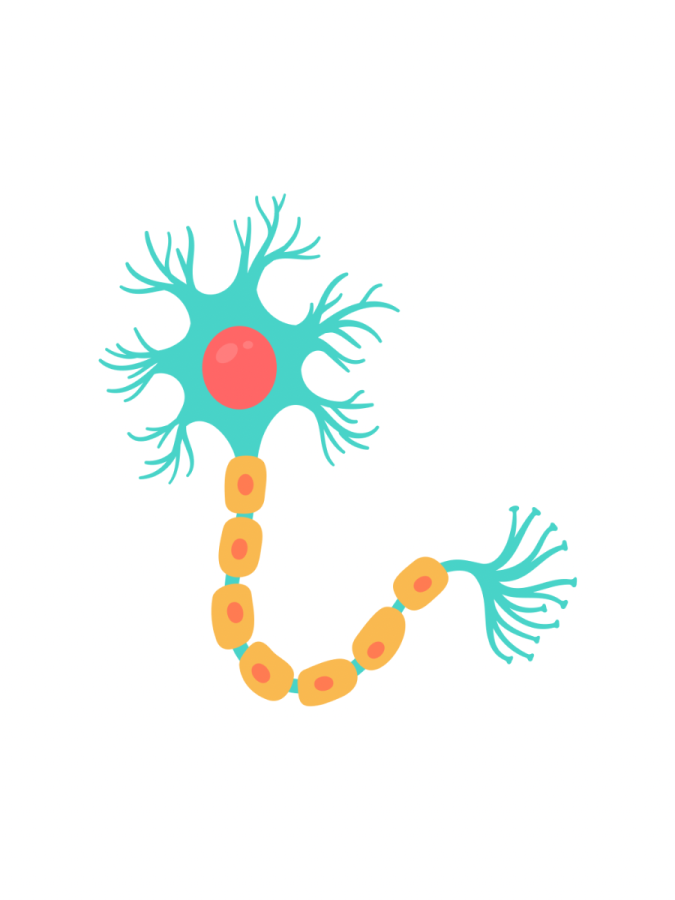 焦慮、憂鬱、創傷後壓力症候群 焦慮、憂鬱、創傷後壓力症候群