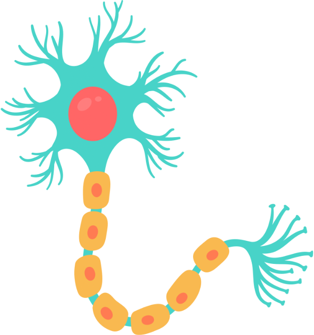 SGB 超音波導引注射示意