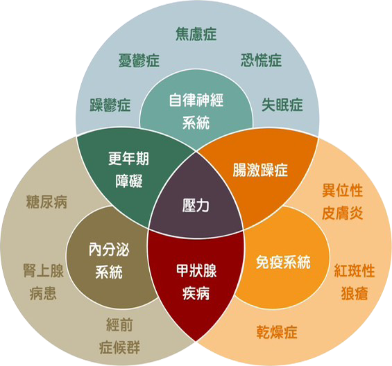 DSR SGB 治療示意圖